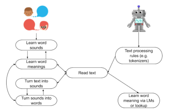 Computers (i.e. Language Models (LMs) or lookup programs (WordNet)) do not learn to speak before they learn to read so they cannot lean on a previous memory bank of learned word meanings. They need to find another way of discovering word meaning.