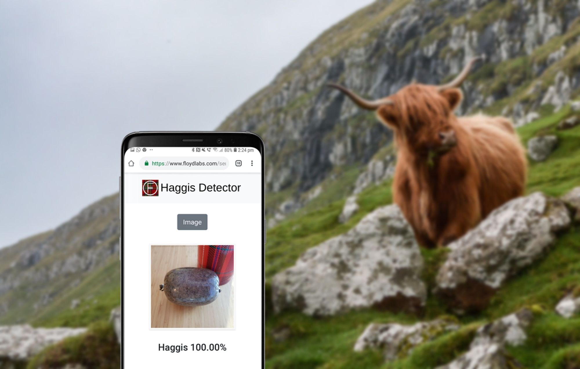 Haggis, Not Haggis: How to build a haggis detection app with TensorFlow, Keras, and FloydHub for Burns Night